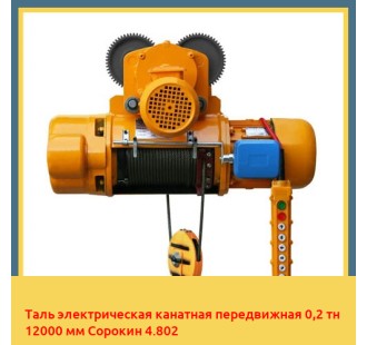 Таль электрическая канатная передвижная 0,2 тн 12000 мм Сорокин 4.802