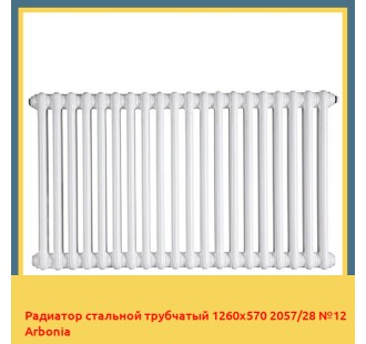 Радиатор стальной трубчатый 1260х570 2057/28 №12 Arbonia