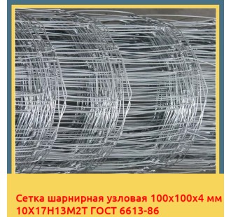 Сетка шарнирная узловая 100х100х4 мм 10Х17Н13М2Т ГОСТ 6613-86 в Актау